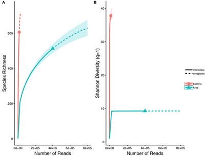 Tropical Palm Endophytes Exhibit Low Competitive Structuring When Assessed Using Co-occurrence and Antipathogen Activity Analysis